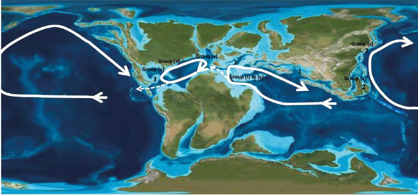 Global evolution and paleogeographic distribution of mid-Cretaceous ...